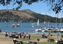 Angel Island harbor