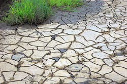 Parched earth