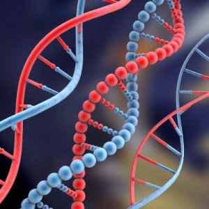 Making use of DNA Engineering to spot the particular Absent System